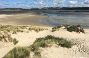 dunes-baie-authie
