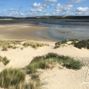 dunes-baie-authie
